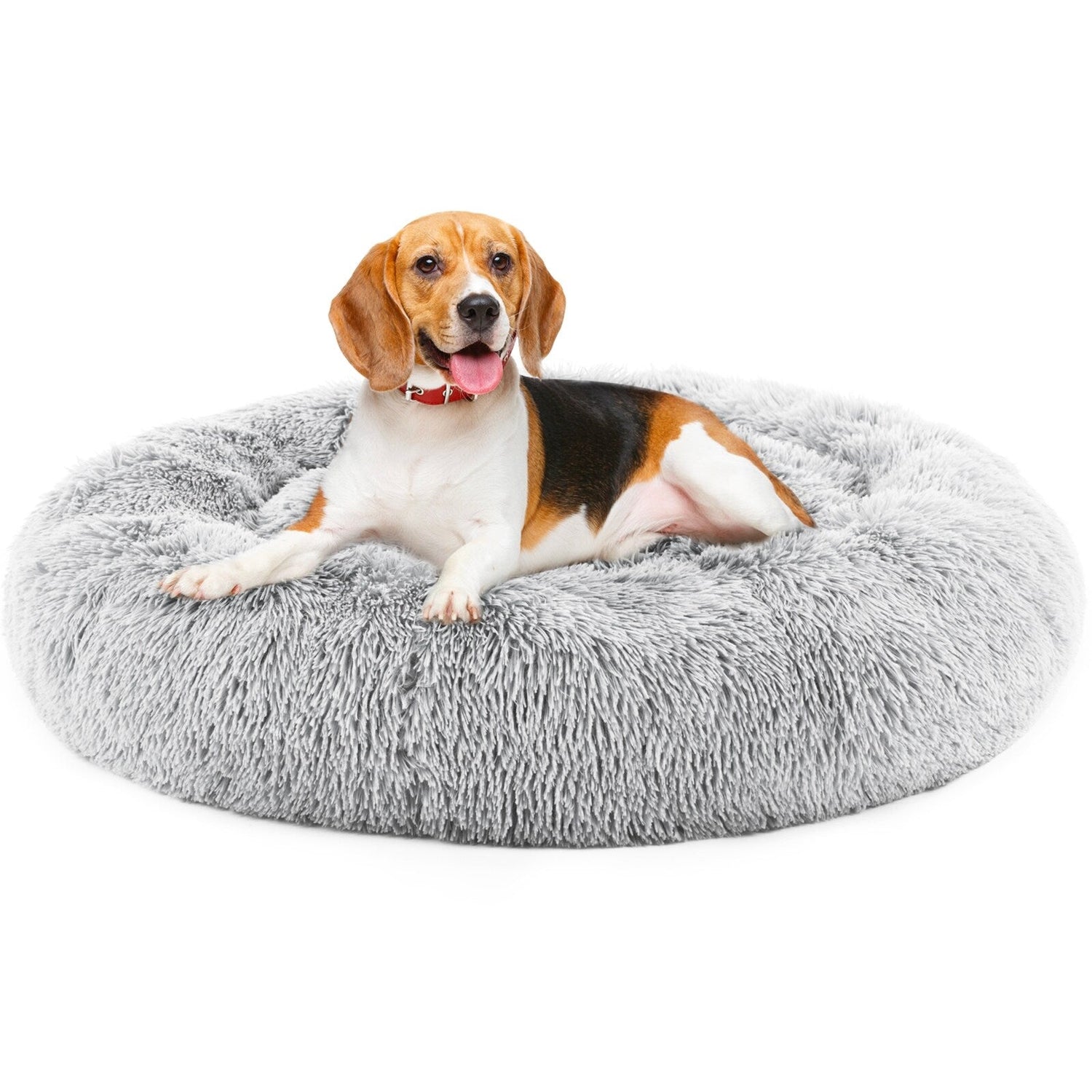 Pet Beds